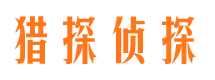 新平市场调查